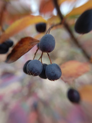 Similar image 21939708