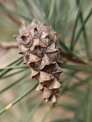 Similar image 21939711