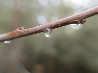 Similar image 21939712