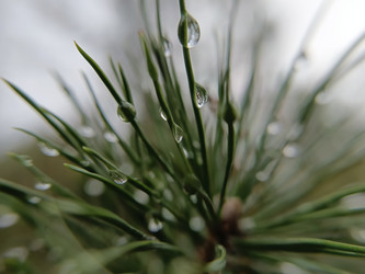 Similar image 21939713