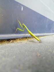 Similar image 21939715