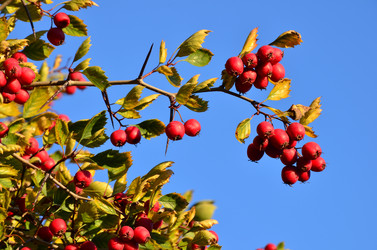 Similar image 21945872