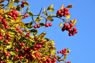 Similar image 21945876