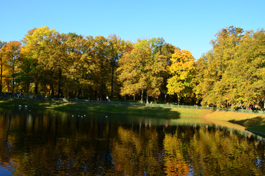 Similar image 21945685