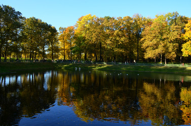 Similar image 21945689