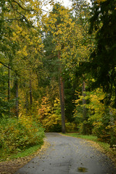 Similar image 21945890