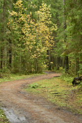 Similar image 21945891