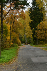 Similar image 21945921