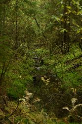 Similar image 21945923