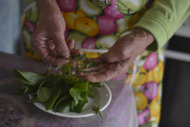 Similar image 21939937