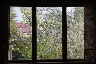 Similar image 21939941