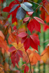 Similar image 21939716