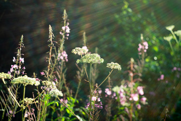 Similar image 21939718