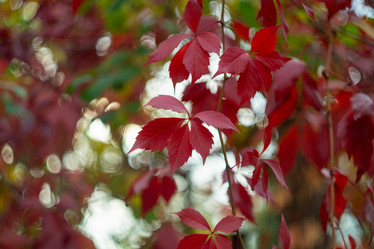 Similar image 21939719