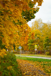 Similar image 21939720