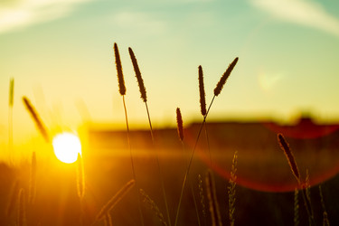 Similar image 21939721