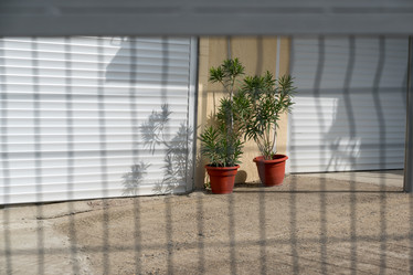 Similar image 21939858