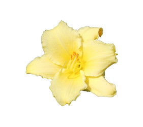 Similar image 21945694