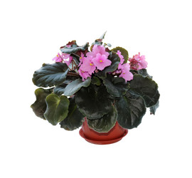 Similar image 21945695