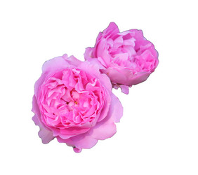 Similar image 21945698