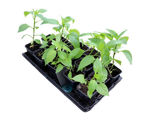 Similar image 21945699