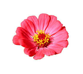 Similar image 21945701