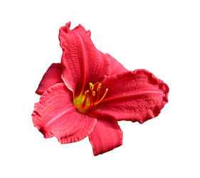 Similar image 21945706