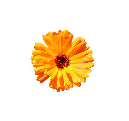 Similar image 21945711