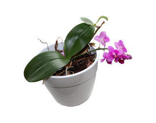 Similar image 21945712