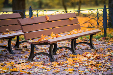 Similar image 21943496