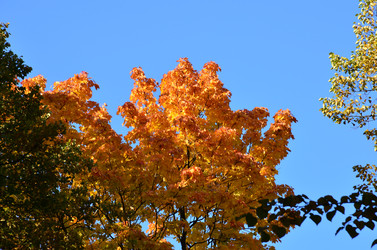 Similar image 21945713