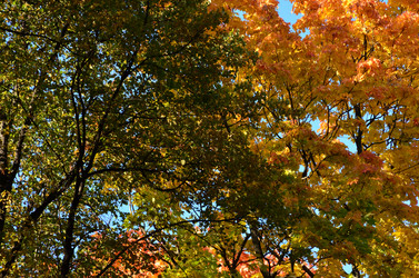 Similar image 21945715