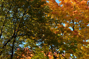 Similar image 21945717