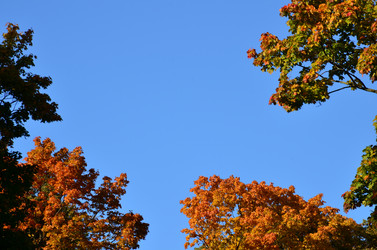 Similar image 21945719