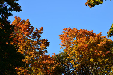 Similar image 21945721