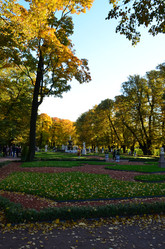 Similar image 21945942