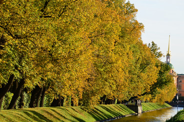 Similar image 21945956