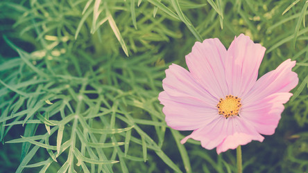 Similar image 21943534