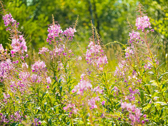 Similar image 21943535