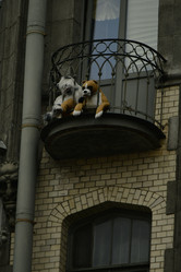 Similar image 21945967