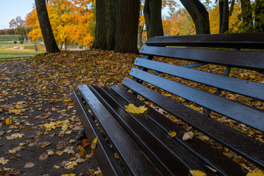 Similar image 21939867