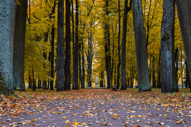 Similar image 21939871