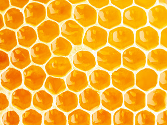 Similar image 21943113