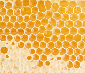 Similar image 21943115