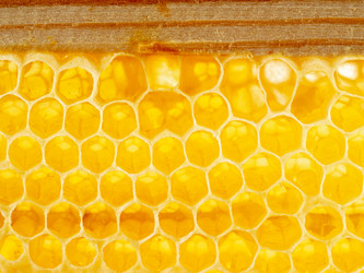 Similar image 21943117