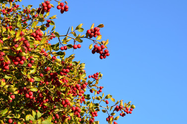 Similar image 21945976