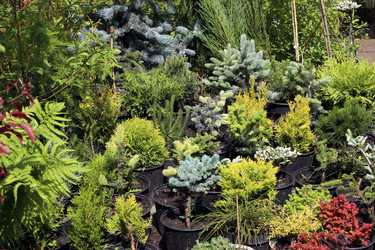 Similar image 21939723