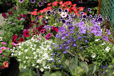 Similar image 21939725