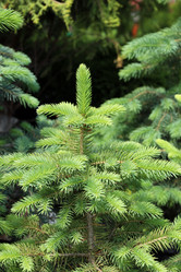 Similar image 21939726