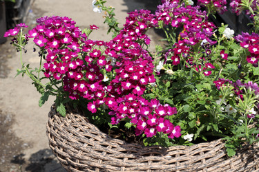 Similar image 21939767